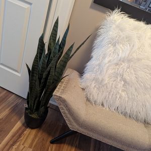 Faux snake plant